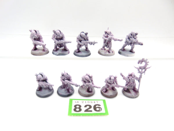 Neophyte Hybrids