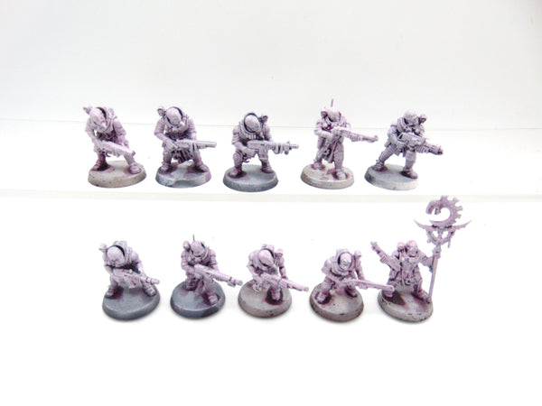 Neophyte Hybrids