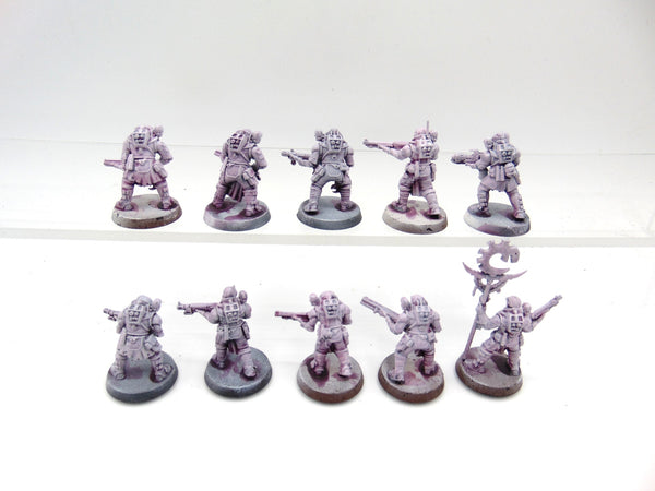 Neophyte Hybrids