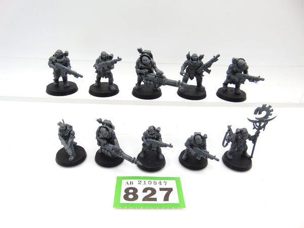 Neophyte Hybrids