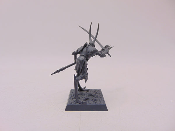 Magister