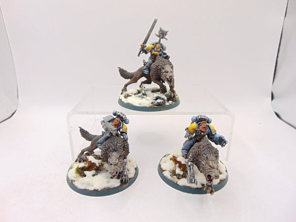 Thunderwolf Cavalry