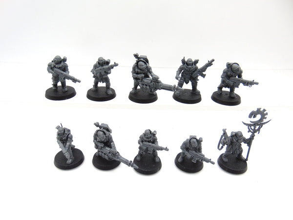 Neophyte Hybrids