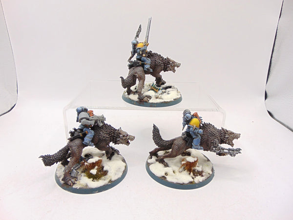 Thunderwolf Cavalry