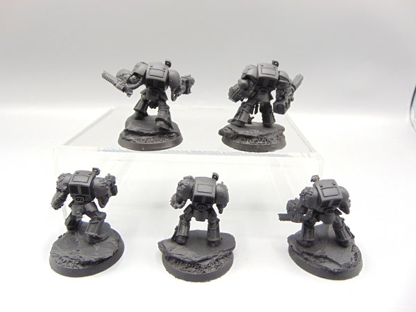 Terminator Squad