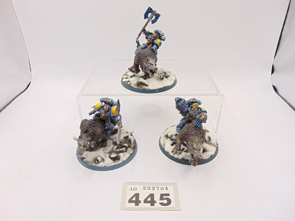 Thunderwolf Cavalry