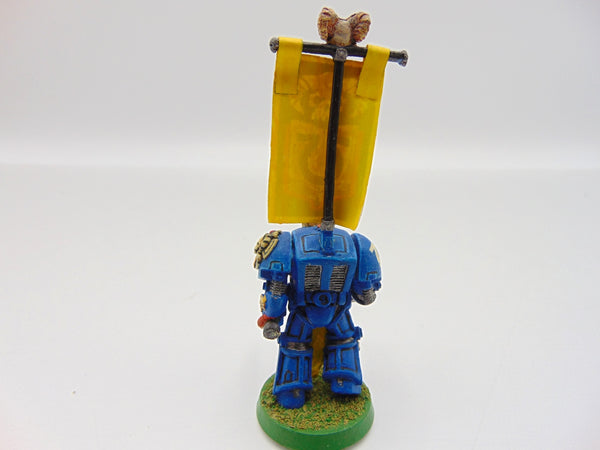 Terminator Librarian