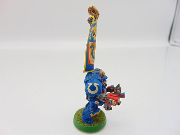 Terminator Librarian