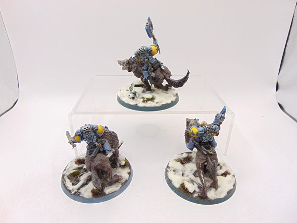 Thunderwolf Cavalry