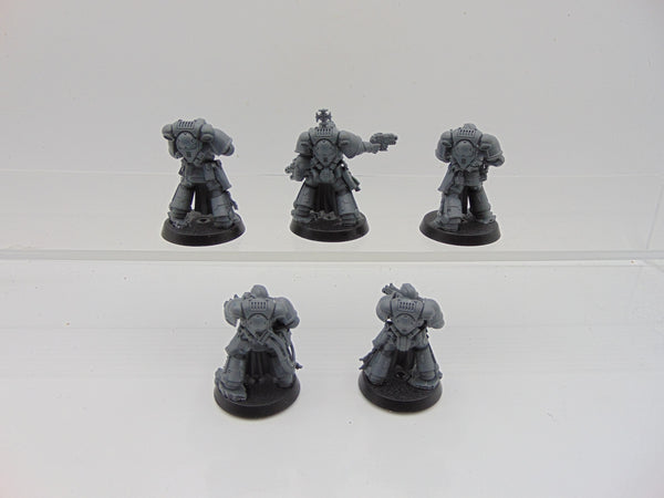 Sternguard Veterans