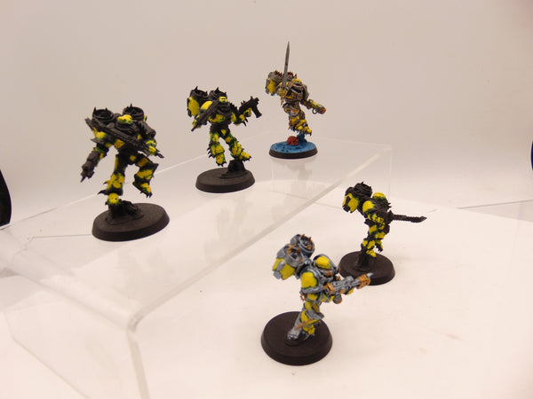 Raptors
