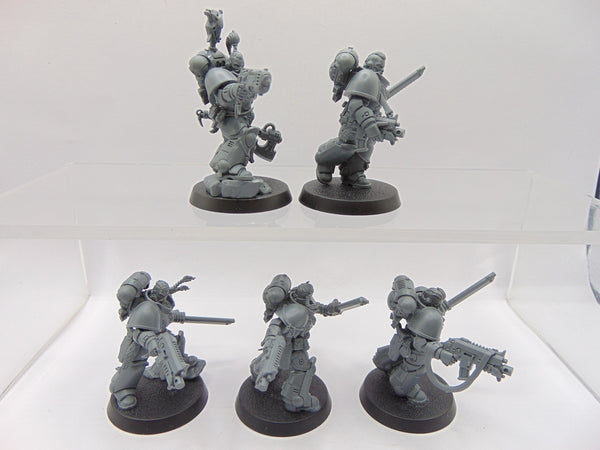 Grey Hunters