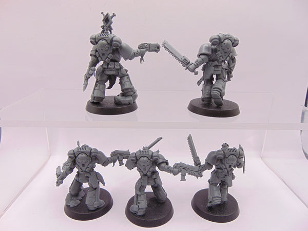 Grey Hunters