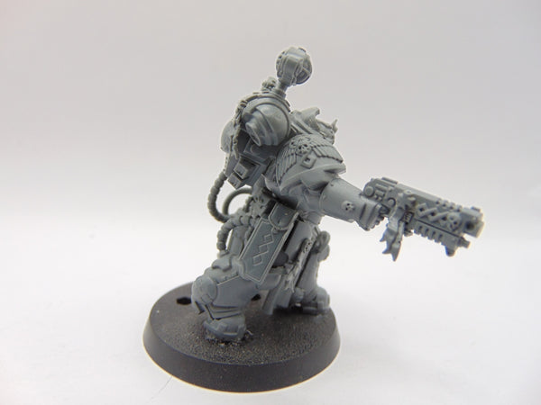 Apothecary Biologis
