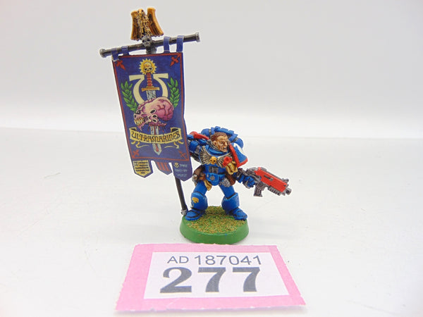 Company Ancient / Standard Bearer