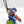 Company Ancient / Standard Bearer