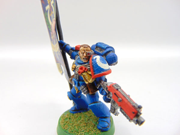 Company Ancient / Standard Bearer