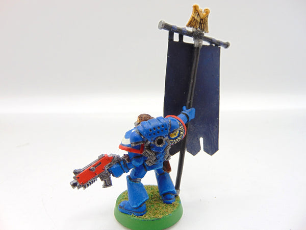 Company Ancient / Standard Bearer