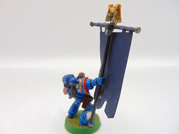 Company Ancient / Standard Bearer