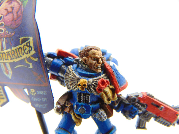 Company Ancient / Standard Bearer
