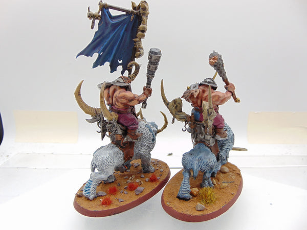 Mournfang Cavalry Pack