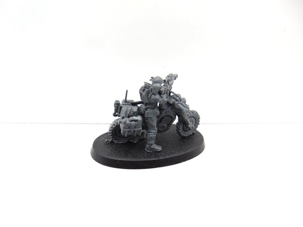 Jackal Alphus