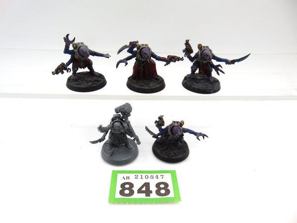 Acolyte Hybrids
