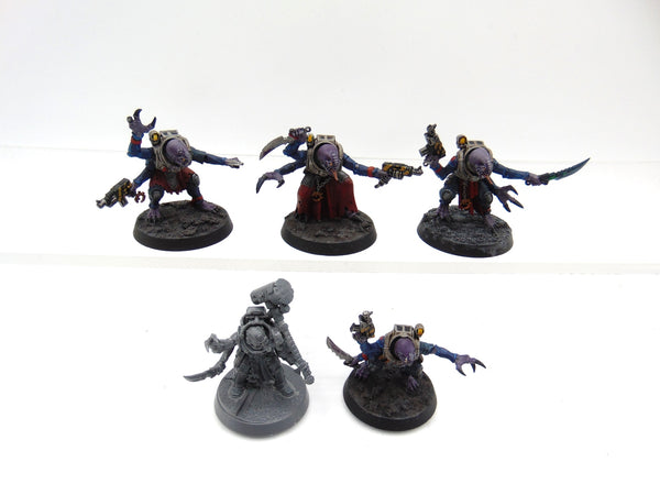 Acolyte Hybrids