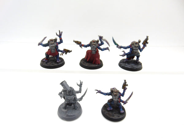 Acolyte Hybrids