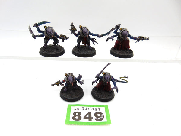 Acolyte Hybrids