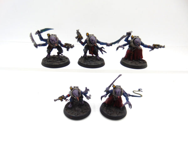 Acolyte Hybrids