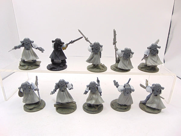 Crusader Squad