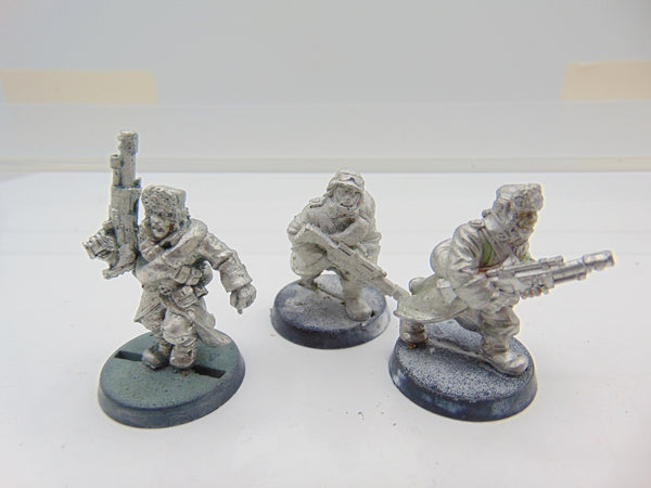 Valhallan Ice Warriors Troopers