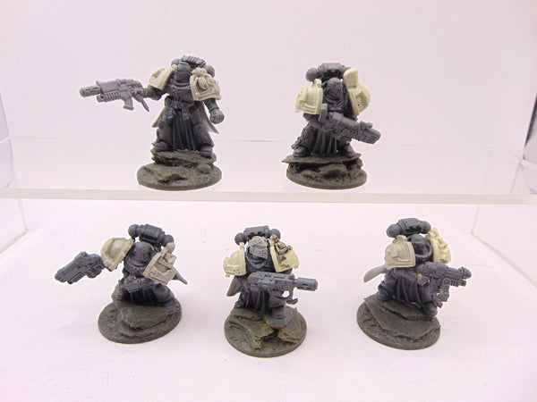 Sternguard Veterans