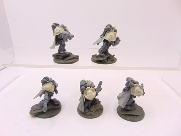 Sternguard Veterans