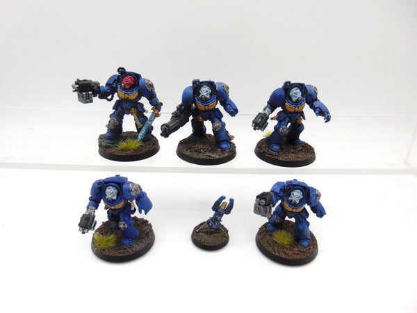 Terminator Squad