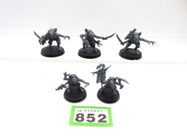 Acolyte Hybrids