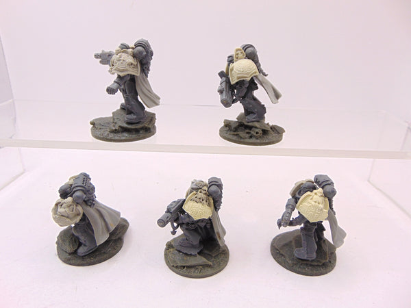 Sternguard Veterans