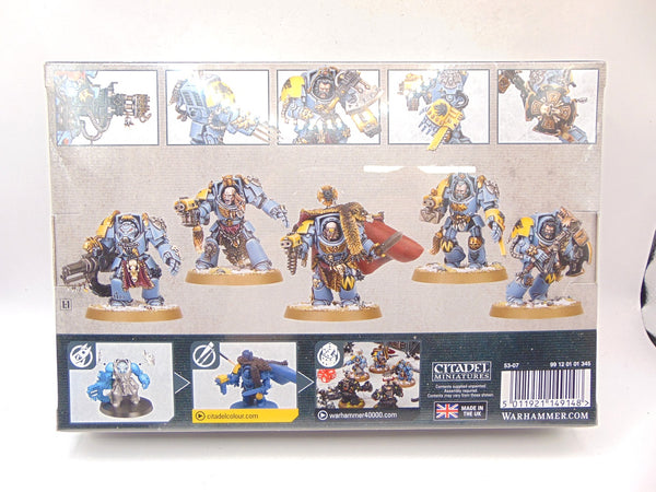 Wolf Guard Terminators