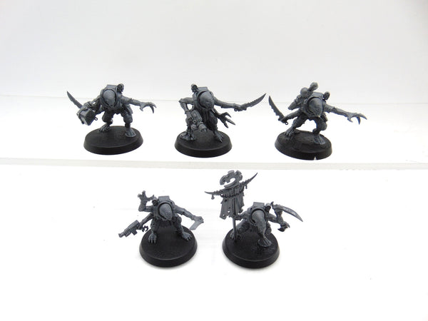 Acolyte Hybrids