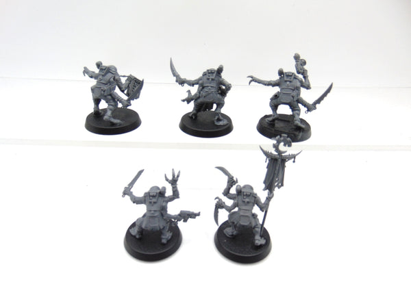 Acolyte Hybrids