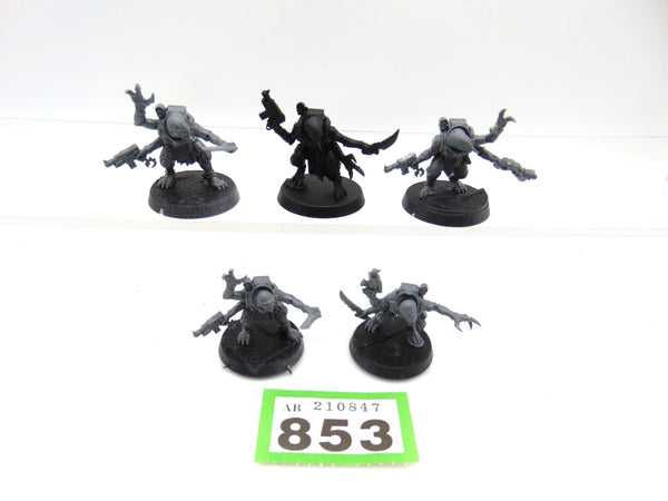 Acolyte Hybrids