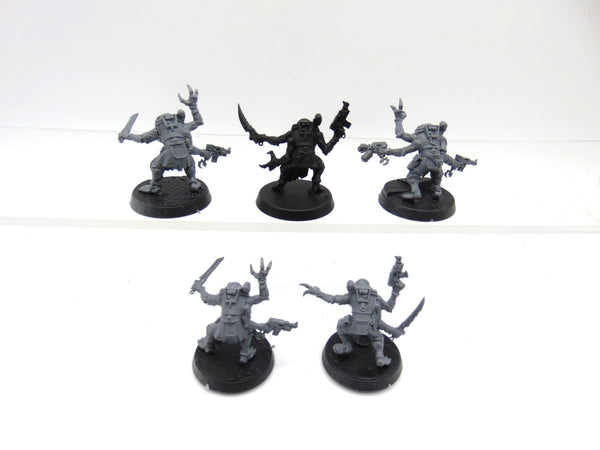 Acolyte Hybrids