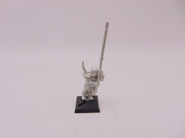 Chaos Marauder Standard Bearer