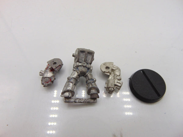 Wolf Guard Terminator