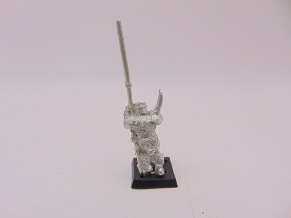 Chaos Marauder Standard Bearer