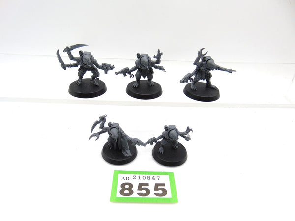 Acolyte Hybrids