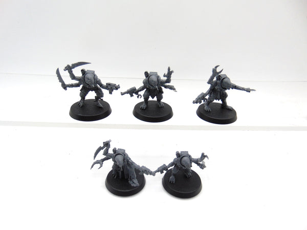 Acolyte Hybrids