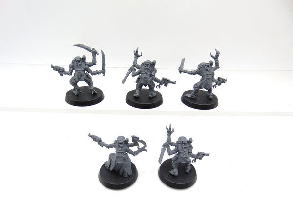 Acolyte Hybrids
