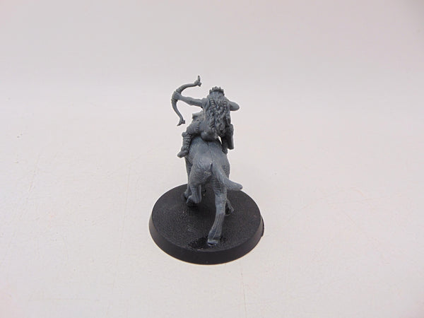 Warg Riders